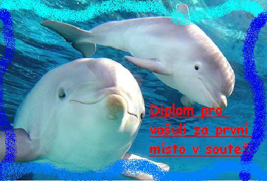 diplom 1.JPG