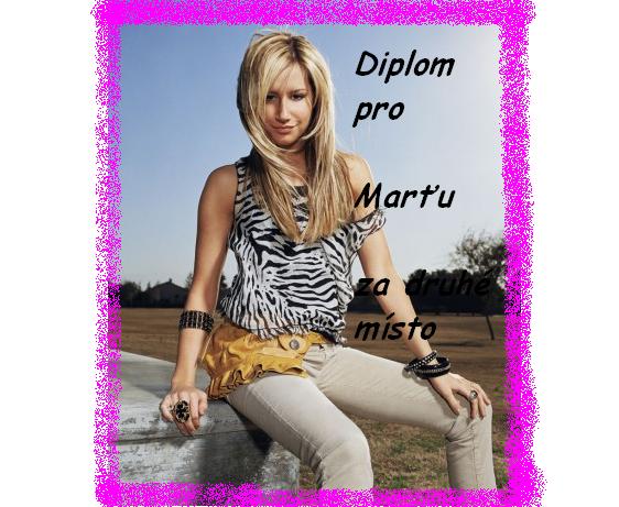 diplom pro martinu